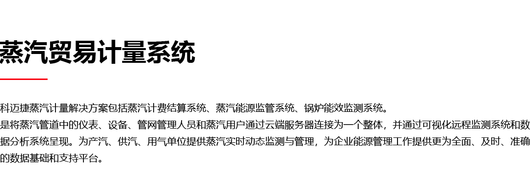 蒸汽貿(mào)易計量系統(tǒng)